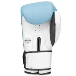 Boon Sport Boxing Gloves / Compact / Sky Blue -Thaiboxingstore Store BN BGC BK SB 3