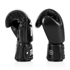 Fairtex Boxing Gloves/ X ONE / Black -Thaiboxingstore Store FTX BGV1 ONE BK 2