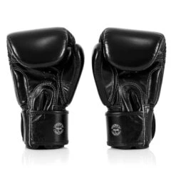 Fairtex Boxing Gloves/ X ONE / Black -Thaiboxingstore Store FTX BGV1 ONE BK 3