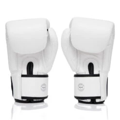 Fairtex Boxing Gloves/ X ONE / White -Thaiboxingstore Store FTX BGV1 ONE WT 3