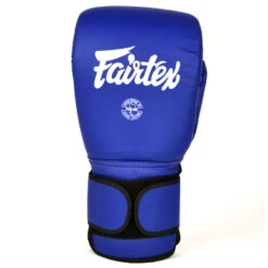 Fairtex Mitts / Coach Sparring Gloves -Thaiboxingstore Store FTX BGV13 BR 2