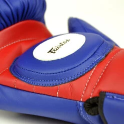 Fairtex Mitts / Coach Sparring Gloves -Thaiboxingstore Store FTX BGV13 BR 4