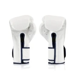 Fairtex Boxing Gloves / Mexican / White -Thaiboxingstore Store FTX BGV9 WHT 3