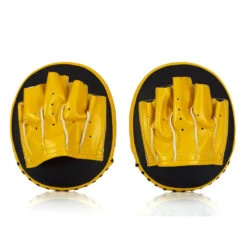 Fairtex Focus Mitts / Pro Speed / FMV15 -Thaiboxingstore Store FTX FMV 15 3