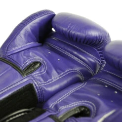 Twins Boxing Gloves / BGVL3 / Dark Purple -Thaiboxingstore Store TWS BGVL3 DK PU 2